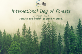 The Healing Power of Forests: Talking about How Nature Benefits Our Health on International Day of Forests