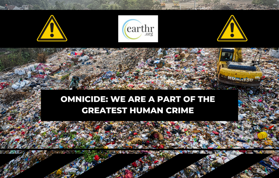 Omnicide: We are a Part of the Greatest Human Crime
