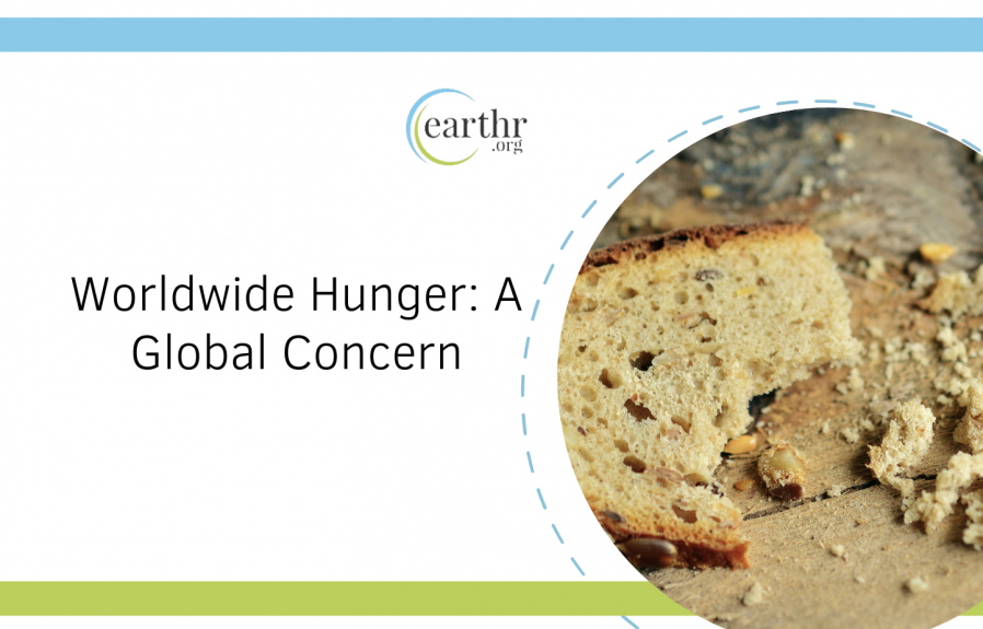 Worldwide Hunger: A Global Concern