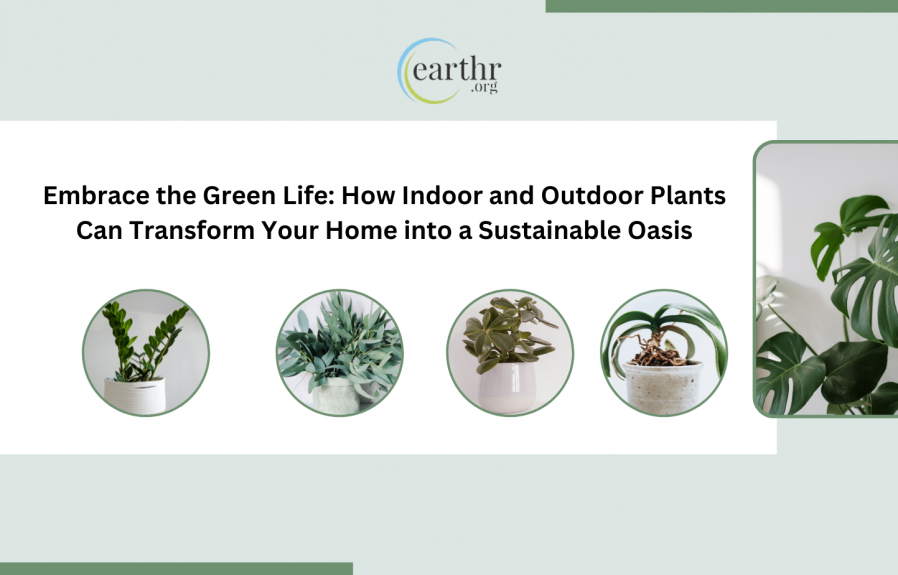 Embrace the Green Life: How Indoor and Outdoor Plants Can Transform Your Home into a Sustainable Oasis