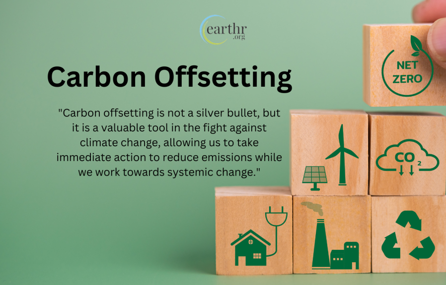 Carbon Offsetting 101: A Beginner’s Guide to Reducing Your Impact