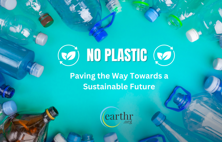 Plastic Alternatives: Paving the Way Towards a Sustainable Future