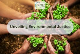 Unveiling Environmental Justice: Empowering Communities and Protecting Our Planet