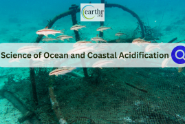 The Science of Ocean and Coastal Acidification: Unveiling the Hidden Threat to Marine Ecosystems