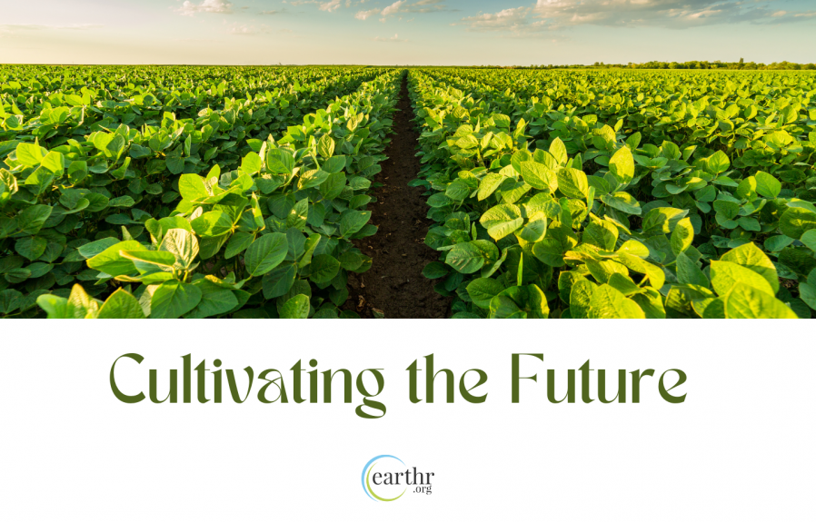 Cultivating the Future: Embracing Sustainable Agriculture for a Greener Planet