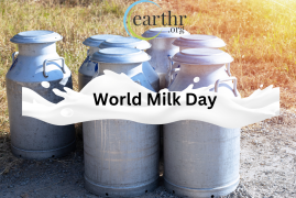 World Milk Day: Dairy’s Sustainable Journey Towards Nutrition, Livelihoods, and Environmental Stewardship